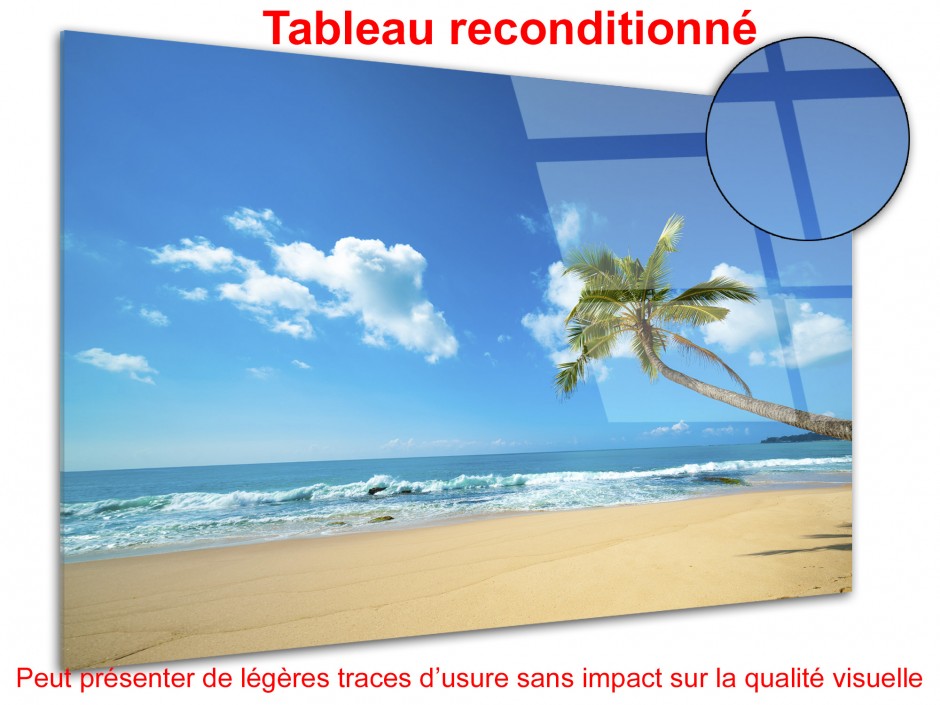Cadre déco plexiglas paysage ÎLE TROPICALE