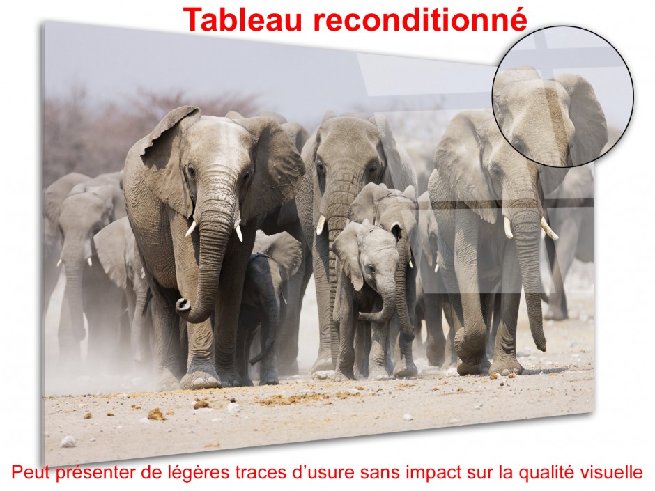 Tableau déco plexiglas décoration murale les Eléphants