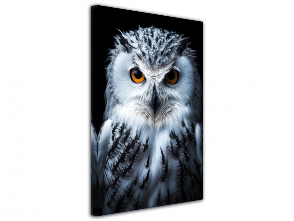 Tableau toile imprimée Hibou des neiges