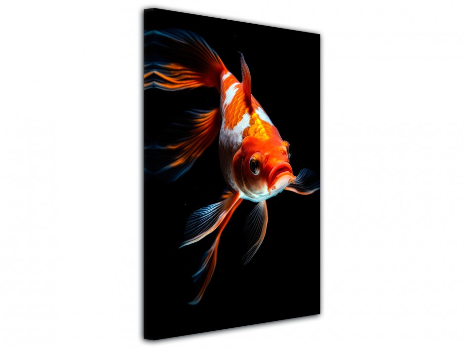 Tableau toile imprimée Poisson rouge élégant