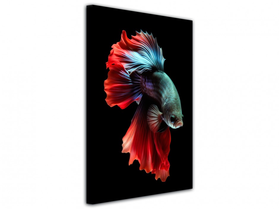 Tableau toile imprimée Poisson combattant rouge et bleu