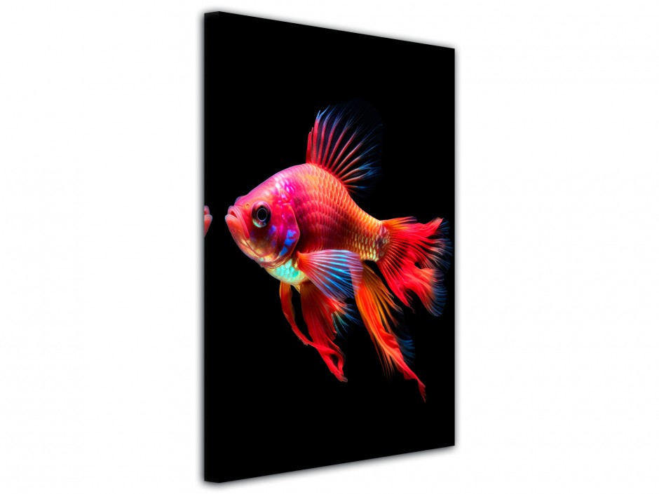 Tableau toile imprimée Poisson exotique arc-en-ciel