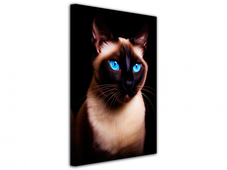 Tableau toile imprimée Chat siamois aux yeux bleus