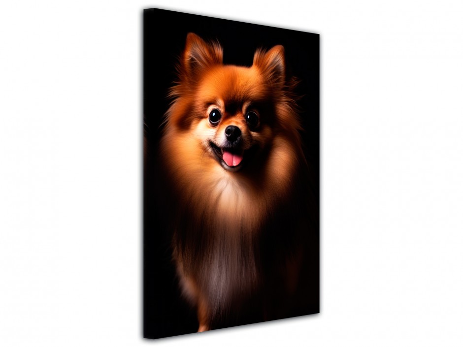 Tableau toile imprimée Chien Spitz Royal