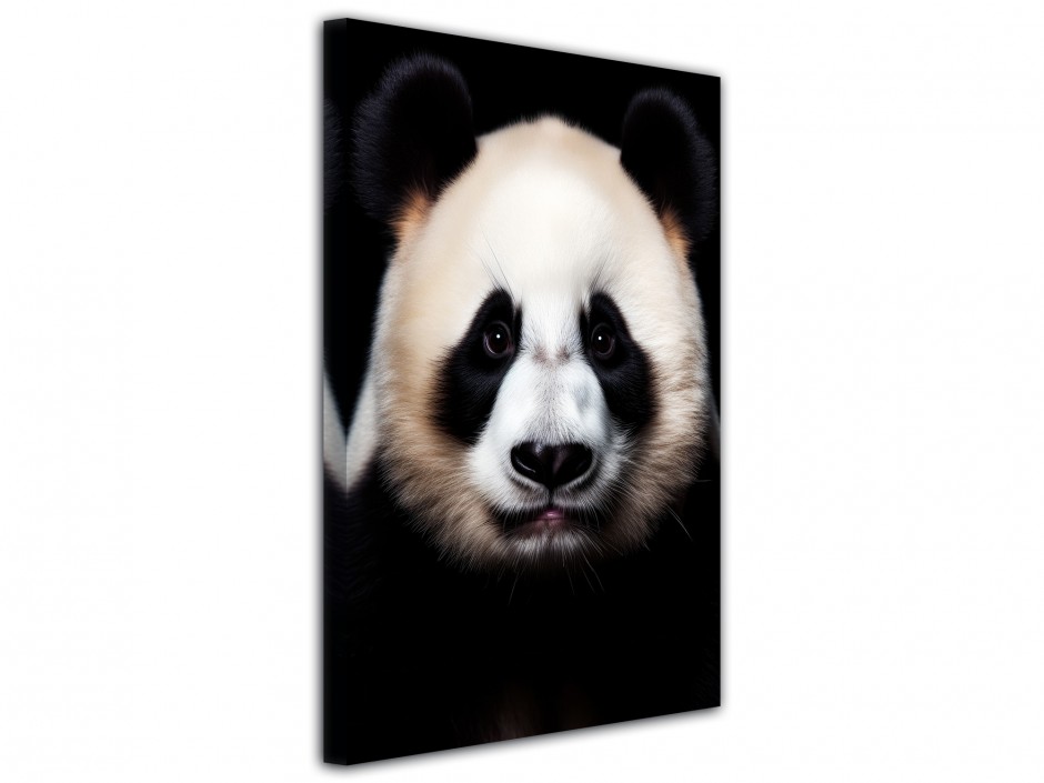 Tableau toile imprimée Panda