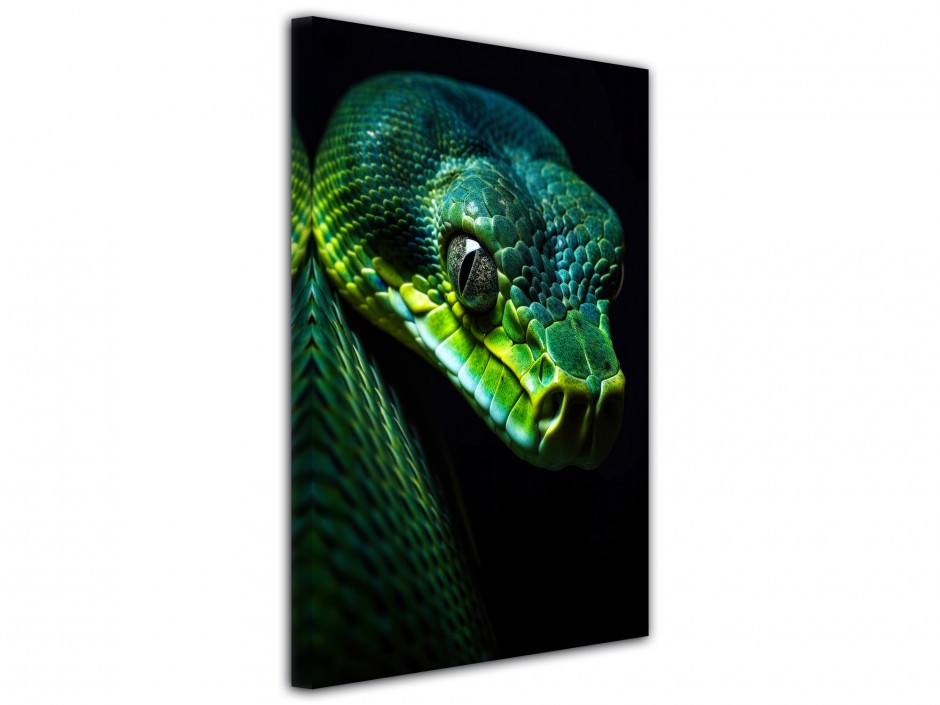 Tableau toile imprimée Serpent émeraude