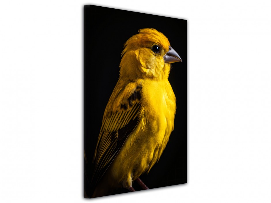 Tableau toile imprimée Canari doré