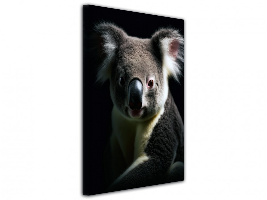 Tableau toile imprimée Koala rêveur