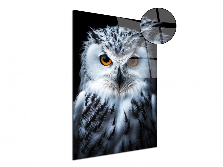 Tableau Plexiglas Hibou des neiges