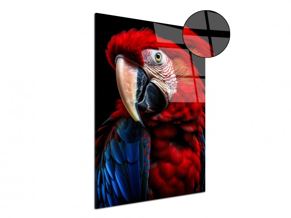 Tableau Plexiglas Ara rouge