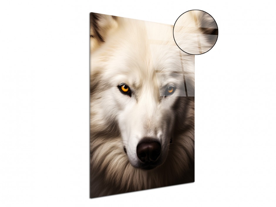 Tableau Plexiglas Loup blanc