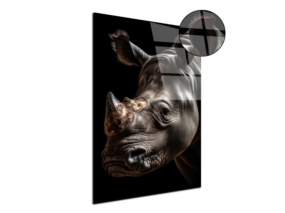 Tableau Plexiglas Rhinocéros