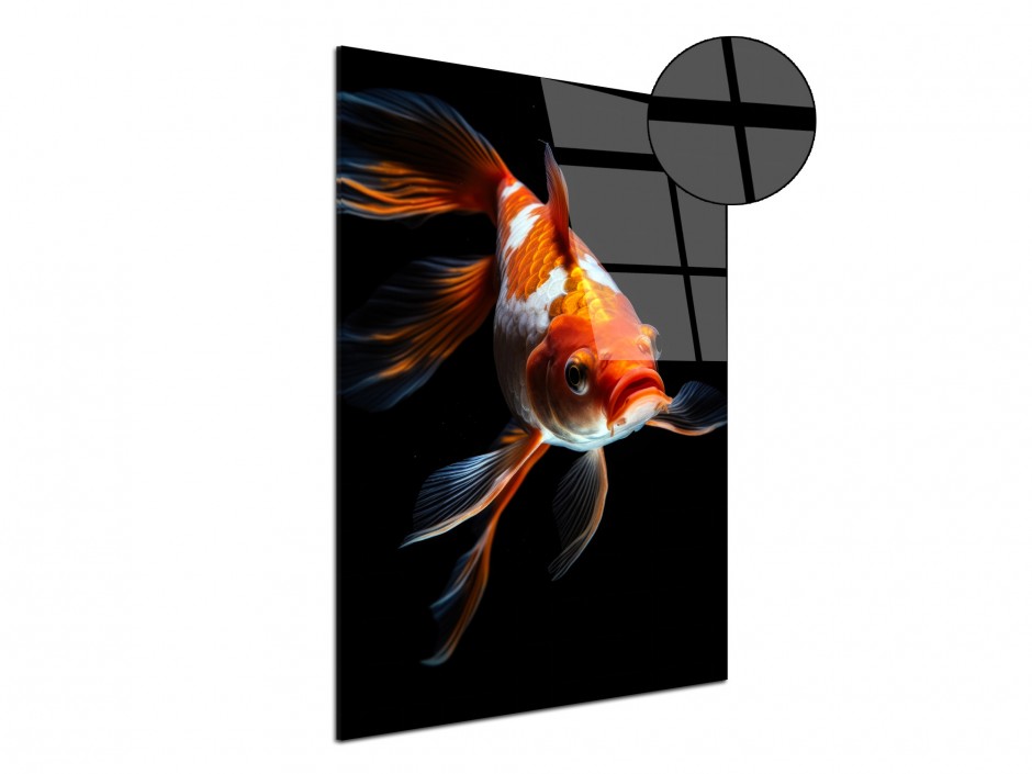 Tableau Plexiglas Poisson rouge élégant