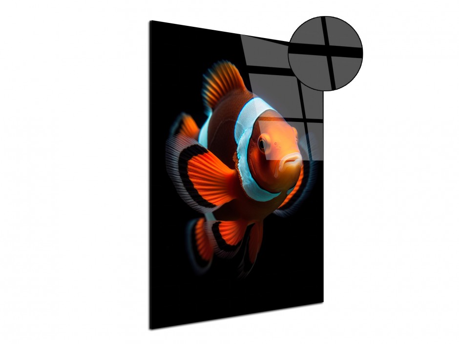 Tableau Plexiglas Poisson clown lumineux