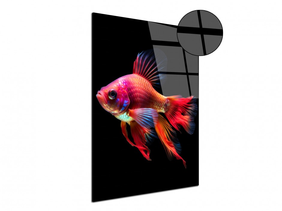 Tableau Plexiglas Poisson exotique arc-en-ciel