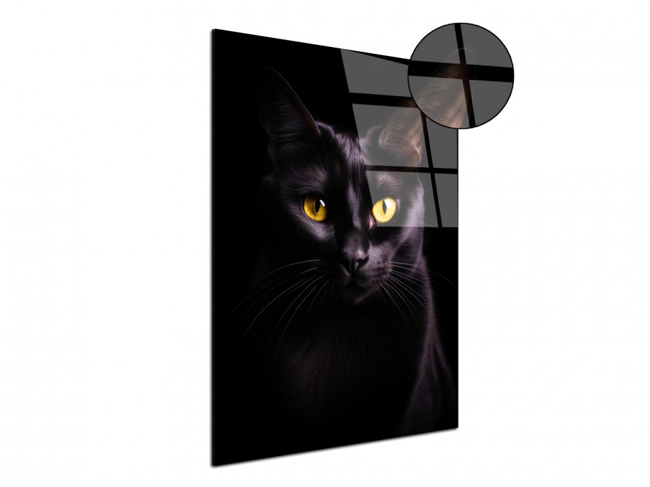 Tableau Plexiglas Chat noir aux yeux or