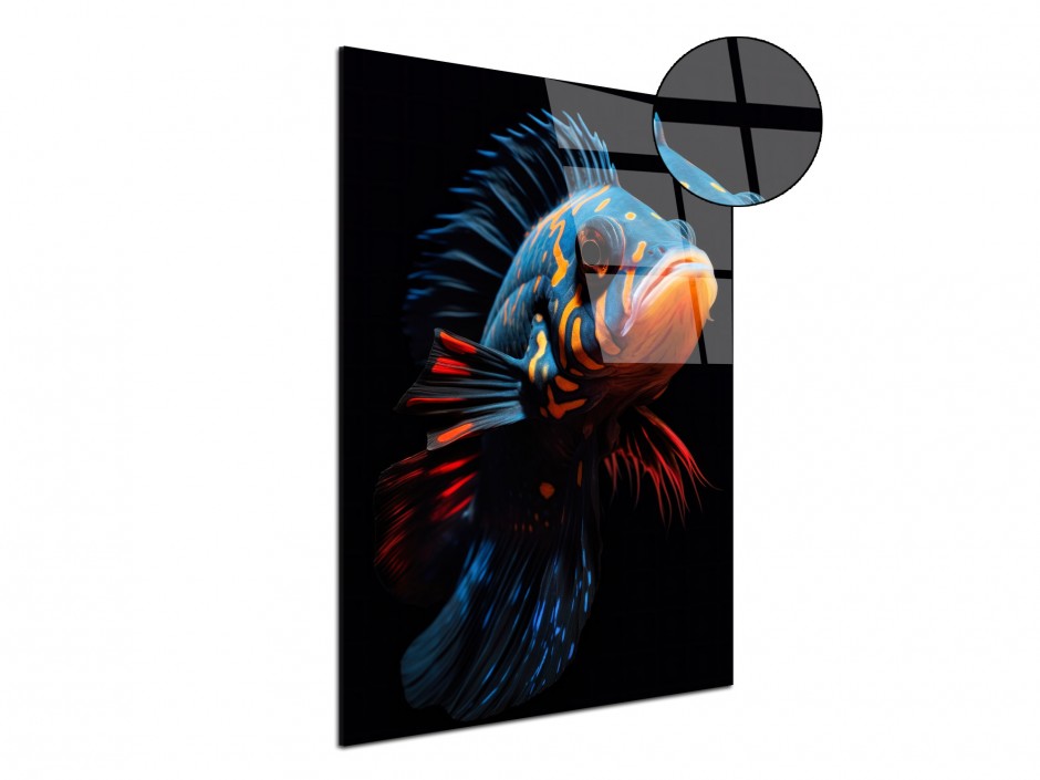 Tableau Plexiglas Poisson mandarin bariolé