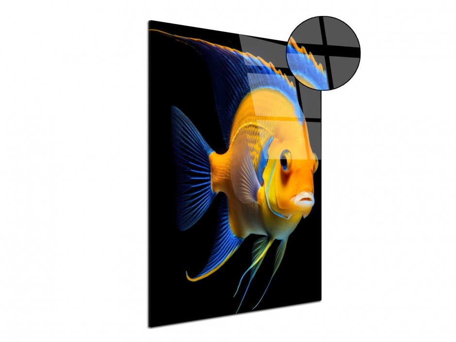 Tableau Plexiglas Poisson‑ange jaune et bleu