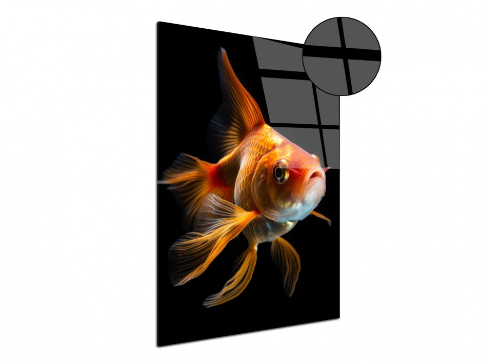 Tableau Plexiglas Poisson Solaire