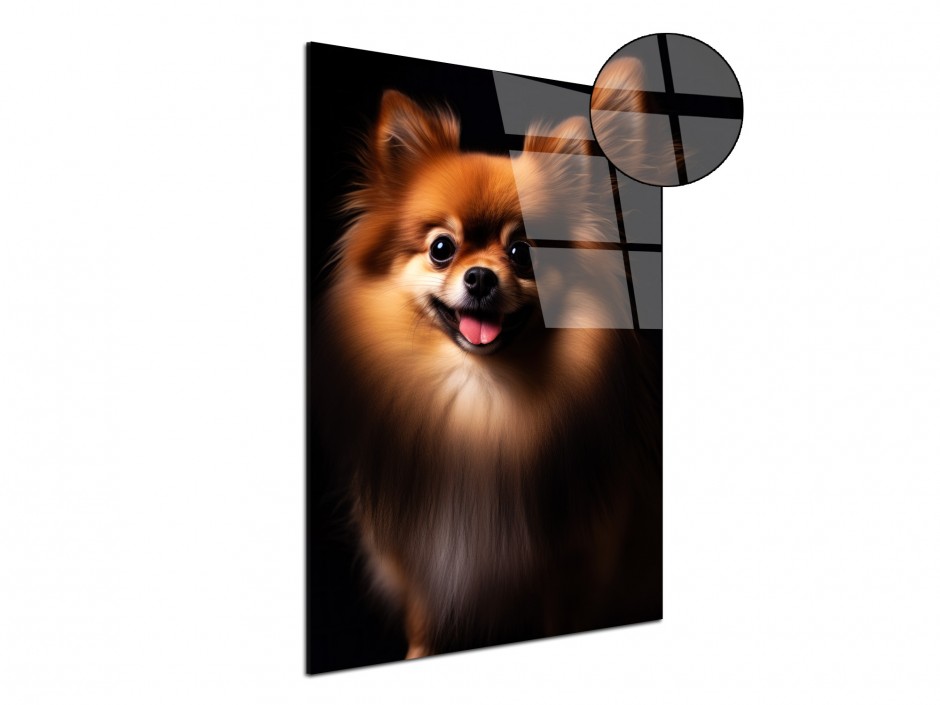 Tableau Plexiglas Chien Spitz Royal