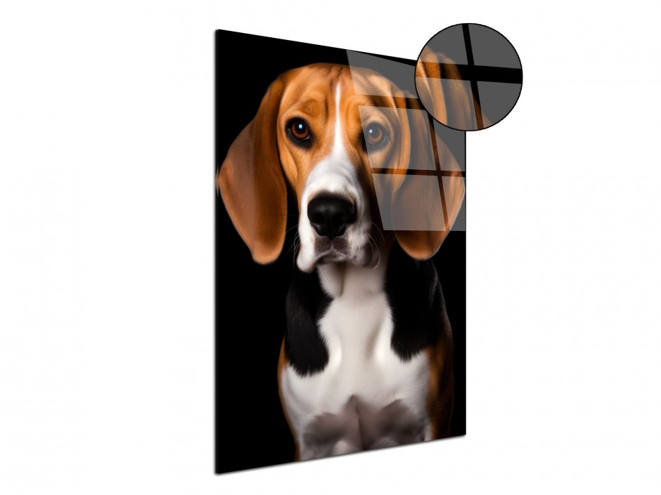 Tableau Plexiglas Chien Beagle Pop Art