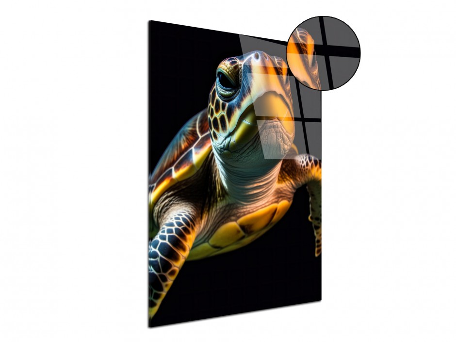 Tableau Plexiglas Tortue Océanique