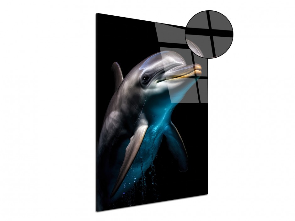 Tableau Plexiglas dauphin