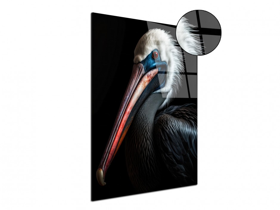 Tableau Plexiglas pélican