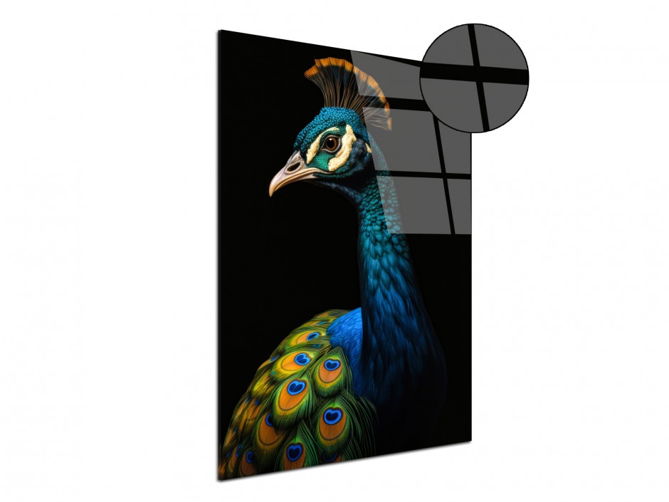 Tableau Plexiglas paon royal