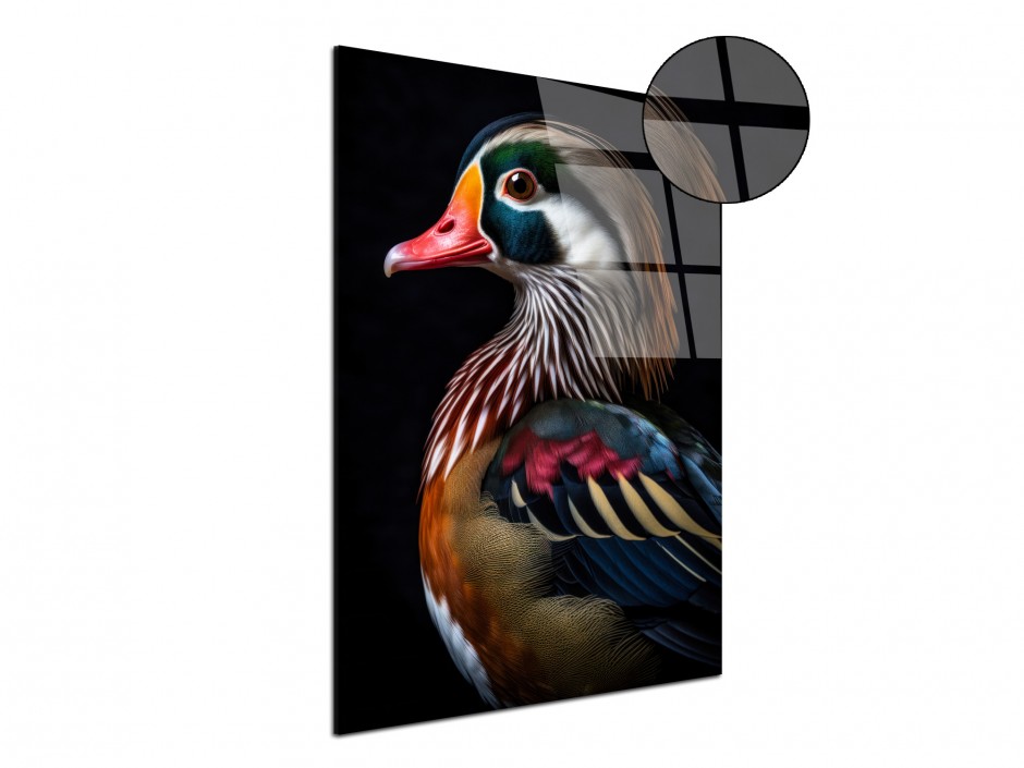 Tableau Plexiglas canard mandarin