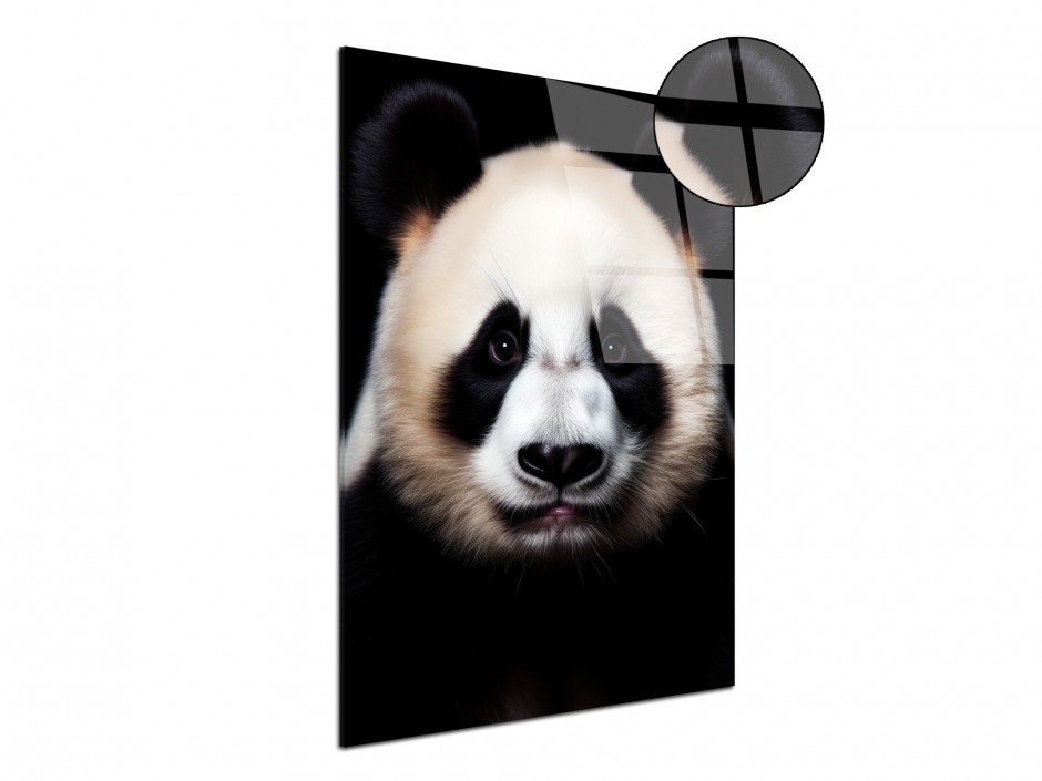 Tableau Plexiglas Panda