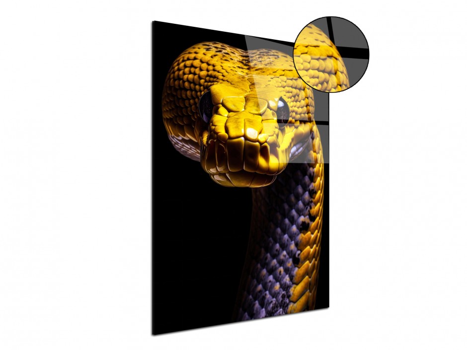 Tableau Plexiglas Serpent Jaune