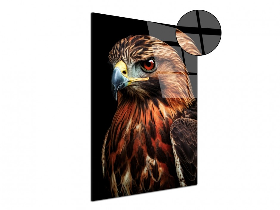 Tableau Plexiglas Aigle Royal