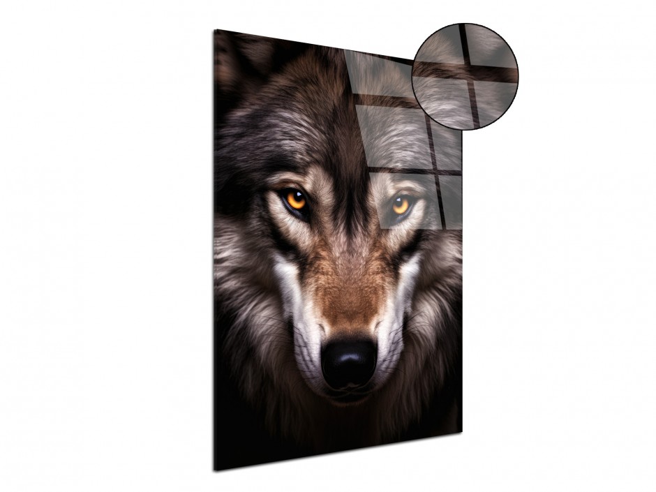 Tableau Plexiglas Loup Gris