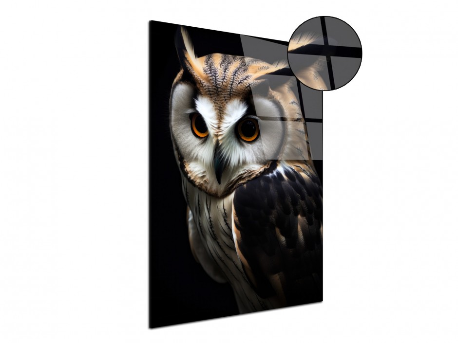 Tableau Plexiglas Hibou mystique