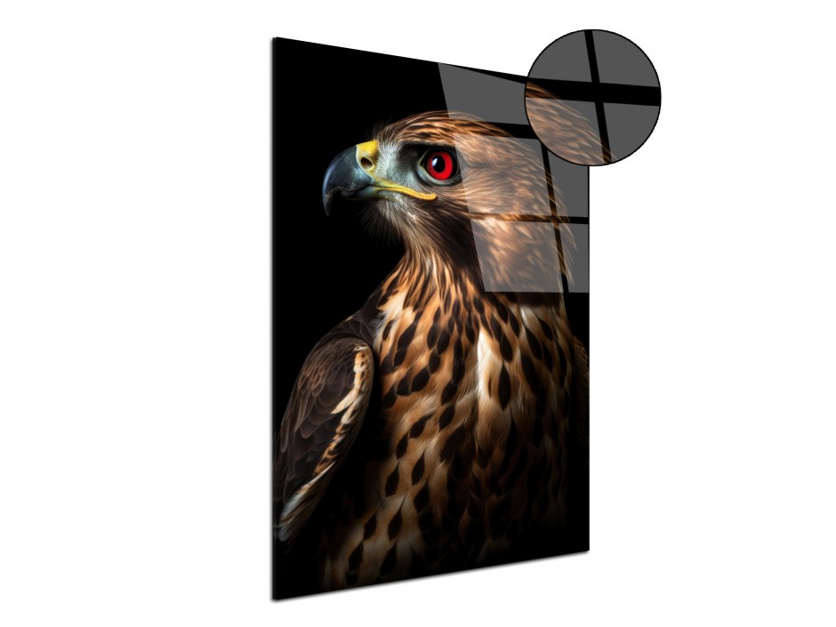 Tableau Plexiglas Faucon des cimes