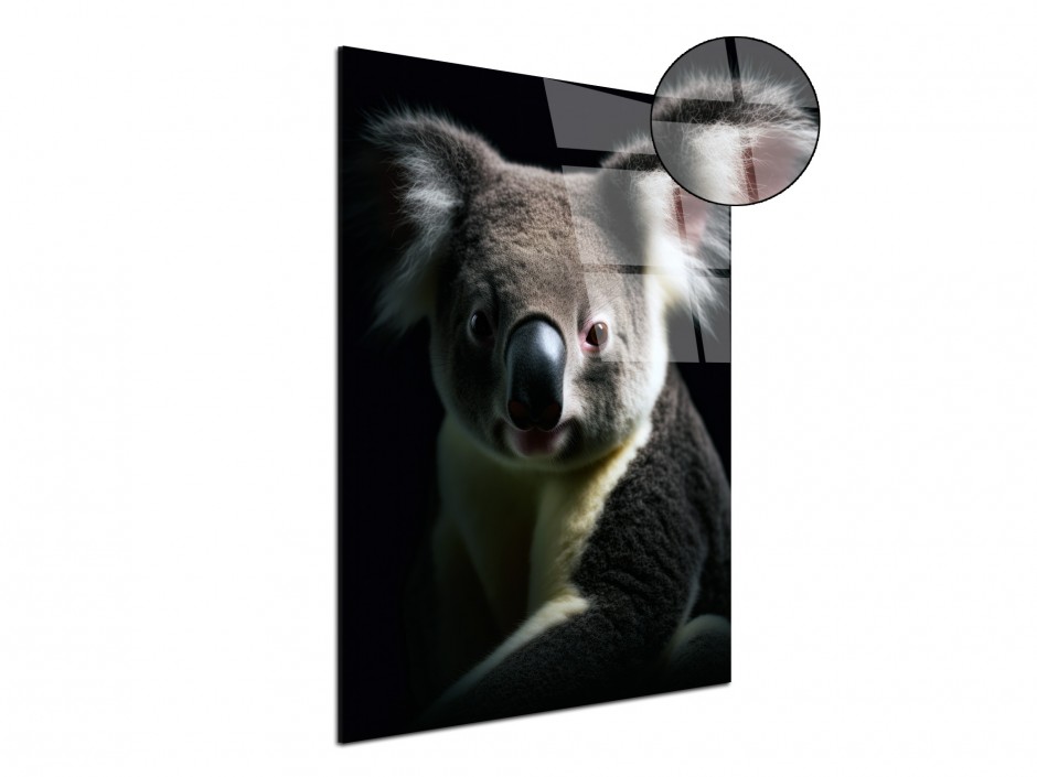 Tableau Plexiglas Koala rêveur