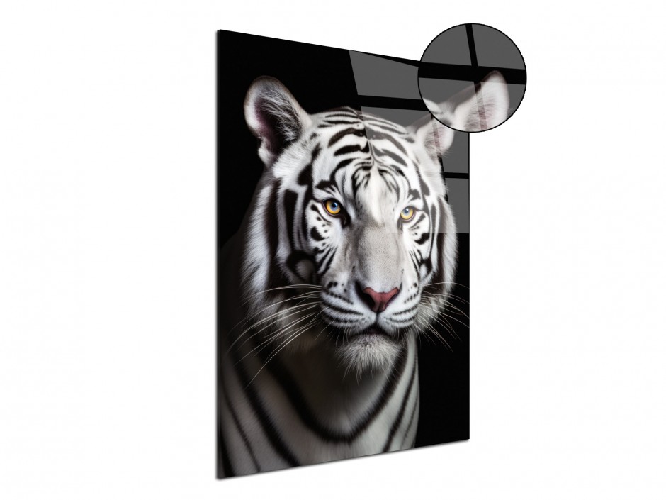 Tableau Plexiglas Tigre blanc impérial