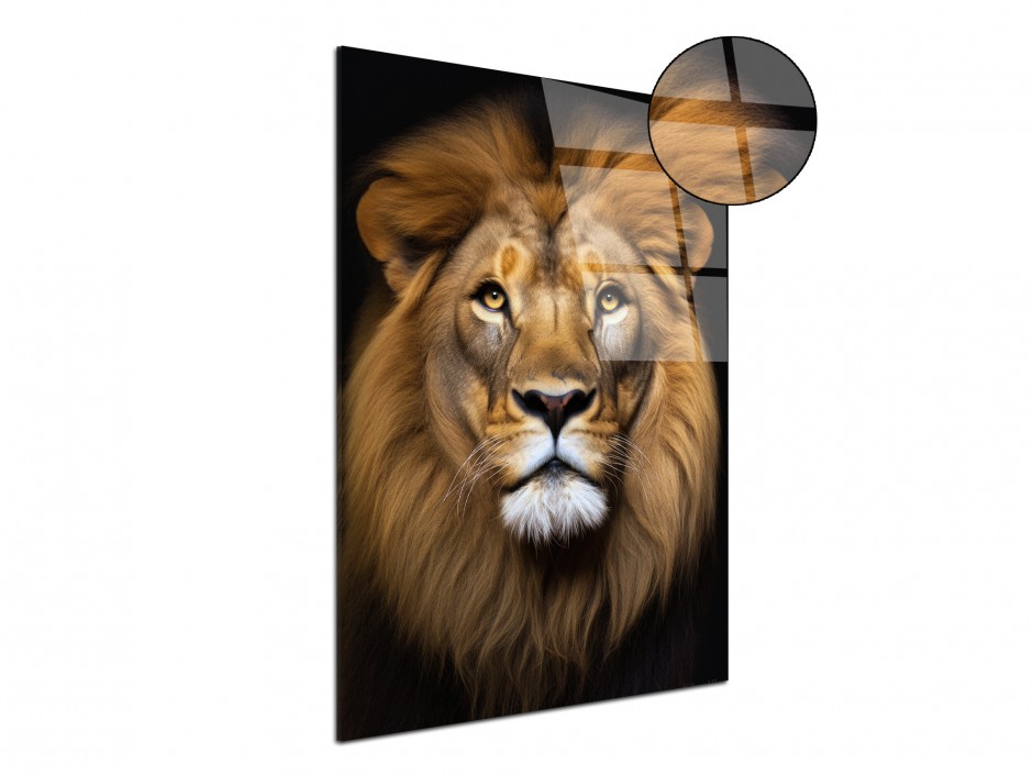 Tableau Plexiglas Lion souverain