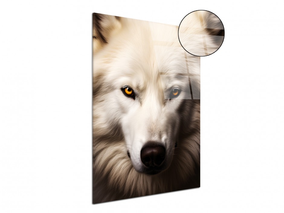 Tableau Plexiglas Loup des neiges