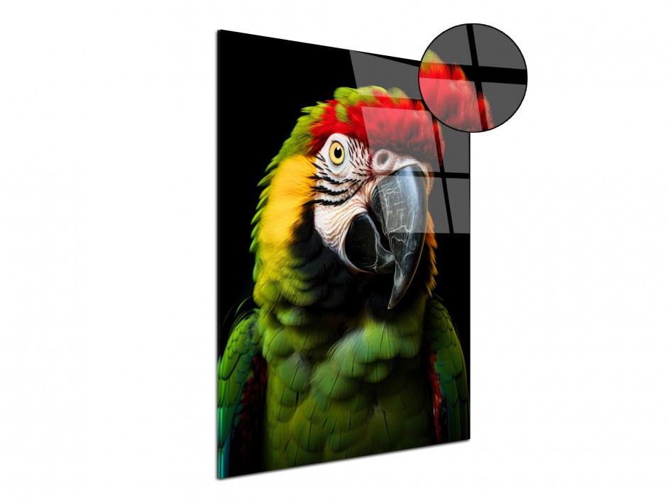 Tableau Plexiglas Ara tropical