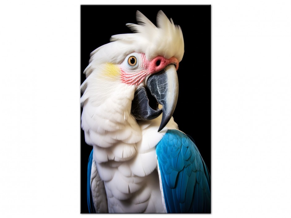 Tableau Aluminium Cacatoès