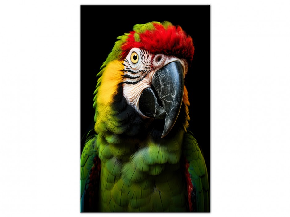 Tableau Aluminium Ara tropical