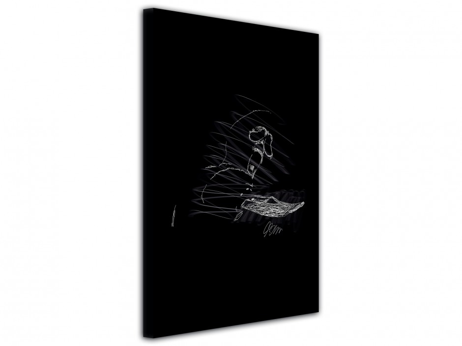 Tableau toile imprimée DJ set