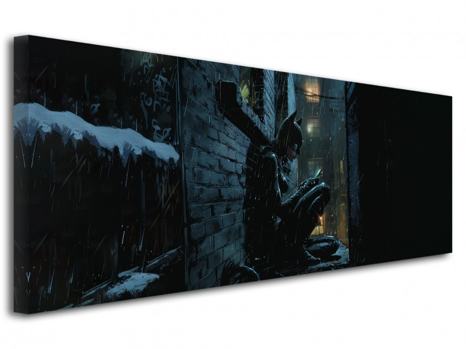 Tableau toile imprimée Féline nocturne sous la pluie