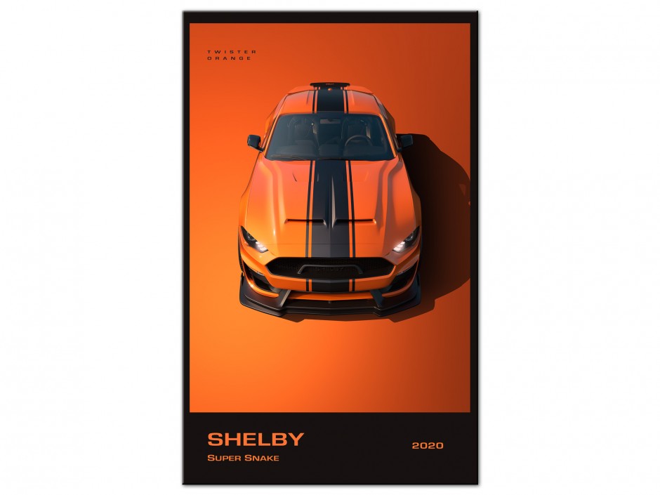 Tableau Aluminium Shelby Super Snake 2020