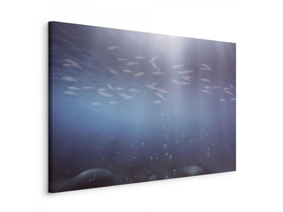 Tableau - Fish in the depths