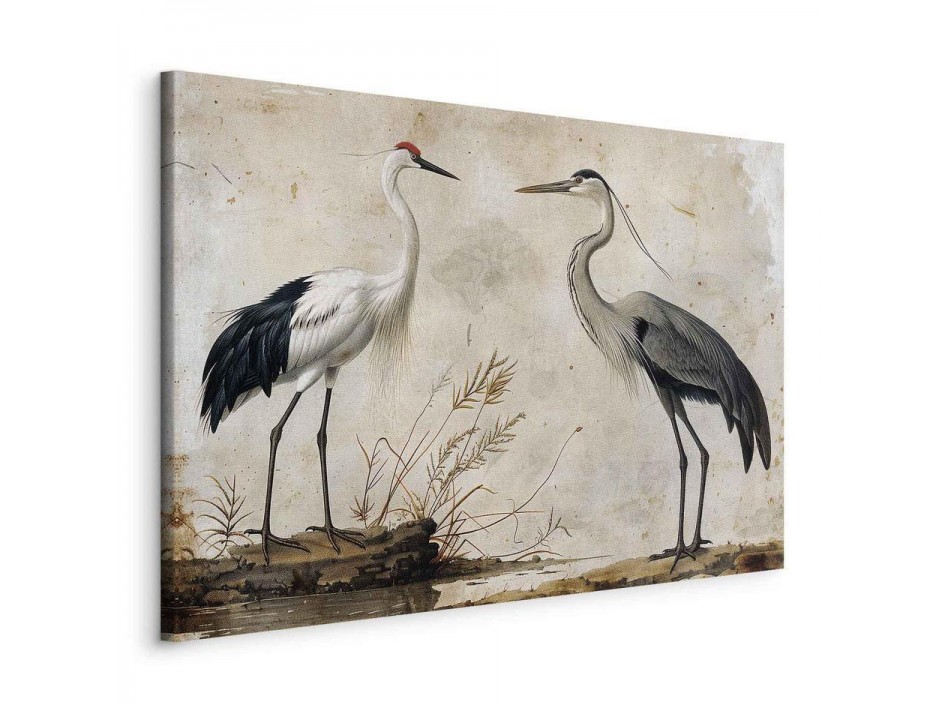 Tableau - Birds from an old engraving - vintage-style illustration depicting a heron and a crane