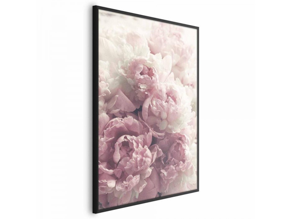 Poster - Delicate Peonies