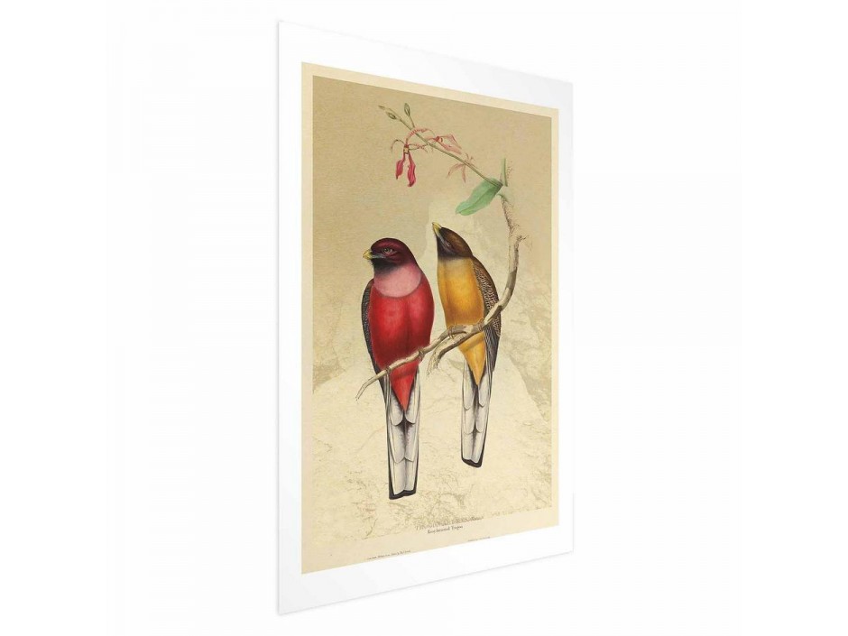 Poster - Birds on a Branch